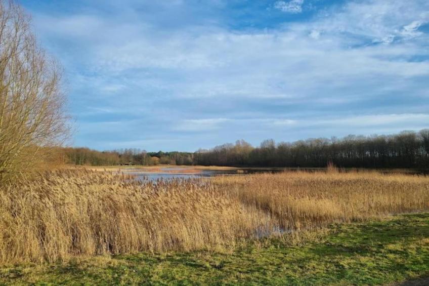 Vakantiewoning Palingsgat - foto 28