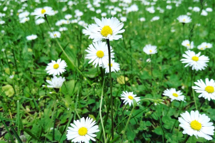 Fichtelzauber mit Sauna - foto 23