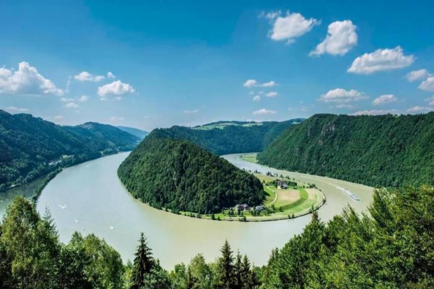 Im Bayerischen Wald - foto 35
