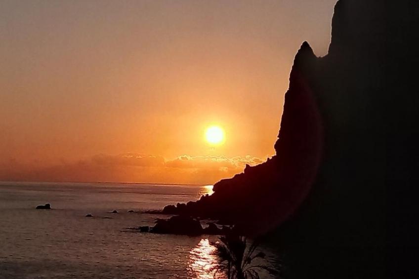 mit Terrasse - foto 45