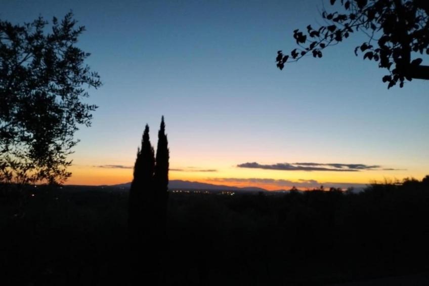 Da Vinci Uno - foto 26