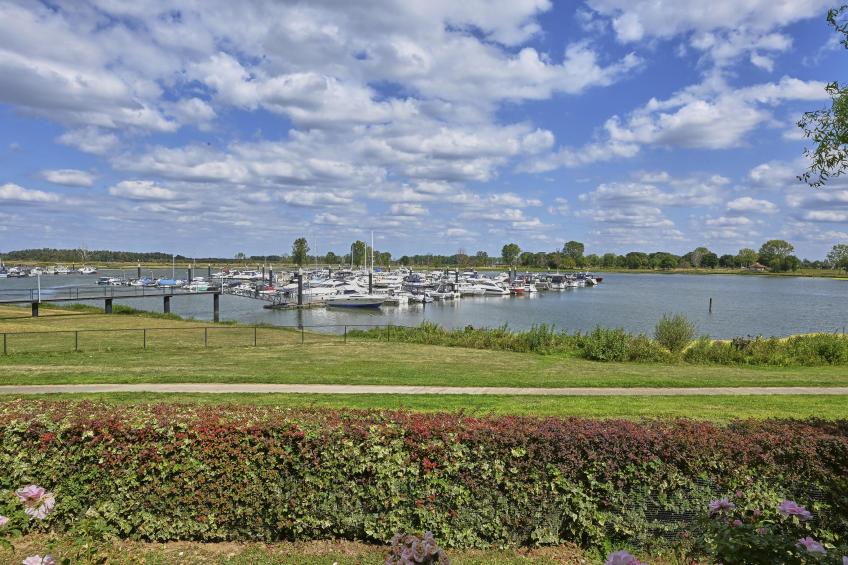 Rose Garden - foto 106