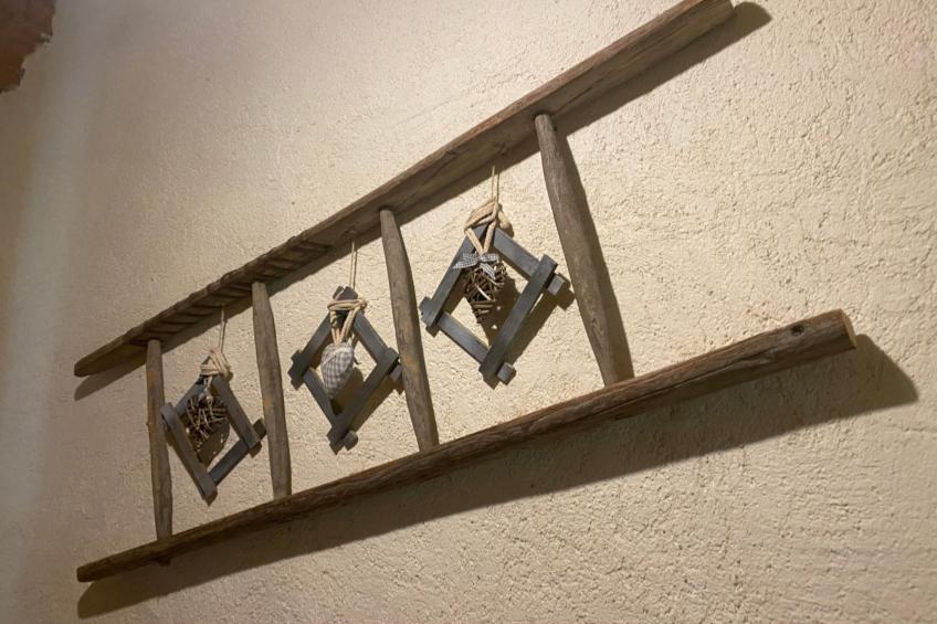 mit Sauna in Pieve Di Bono - foto 35