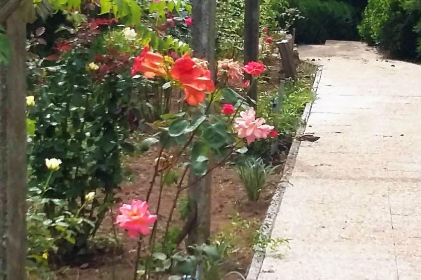 Quinta D'Avó Amélia, wunderschönes Landhaus zwischen den Bergen und dem Meer - foto 25