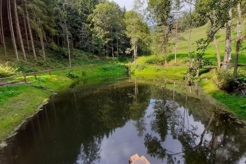 Teichhaus Simperle - foto 23