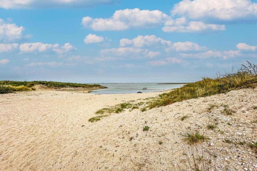 Zeeuwse Pracht 8 p - foto 40