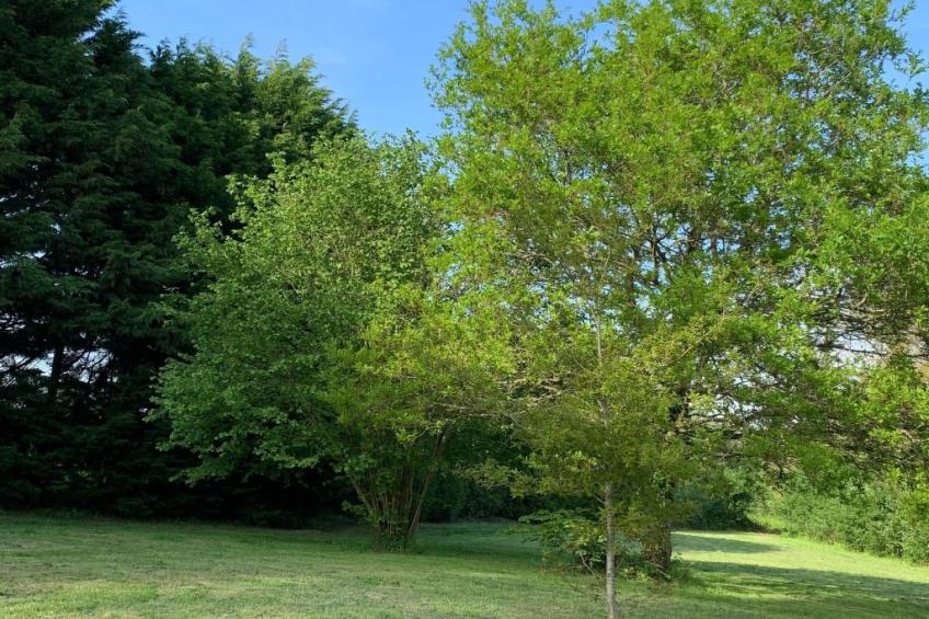 Gite - typisch bretonisches Bauernhaus mit Pool - foto 15