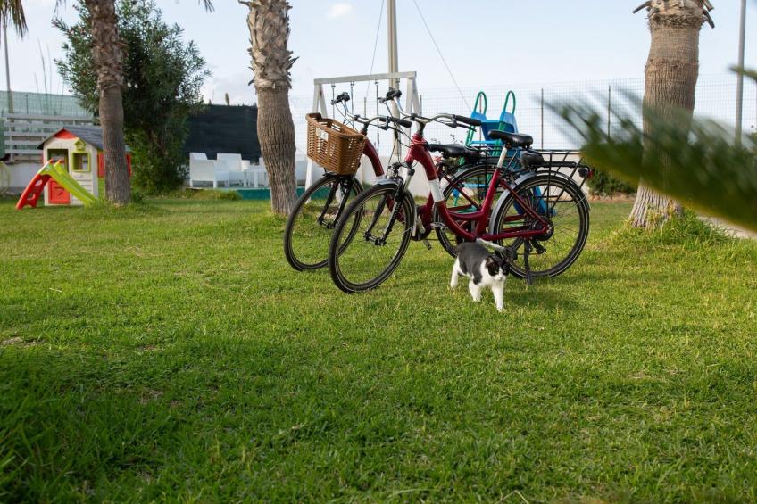 Case Playa in Balestrate - foto 18