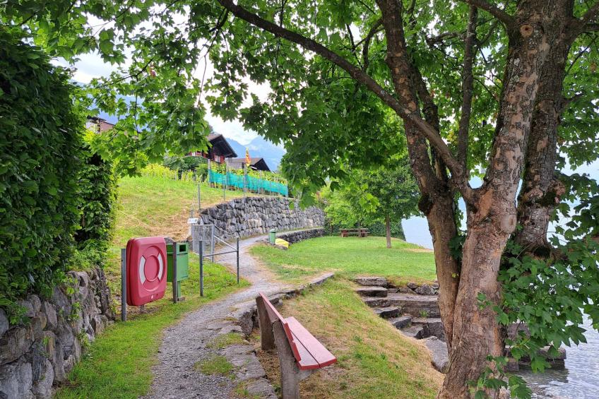 Chalet Waldmeier - foto 24