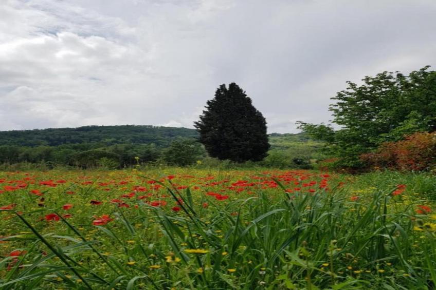 Chianti Village Morrocco - foto 26