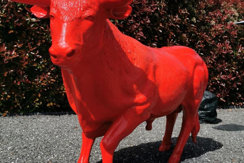 Zwischen Meer und Land - foto 24