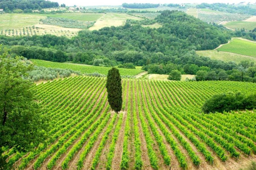 Casalini 2 - foto 35