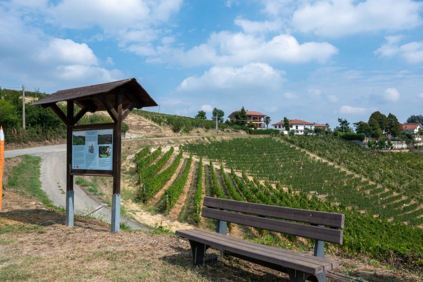 Agriturismo San Michele (VII205) - foto 37