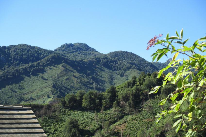 Sole e Ventu - foto 28