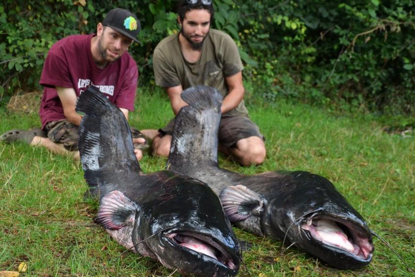 Haus freistehend Sonne Bett 160cm Patio billig - foto 43