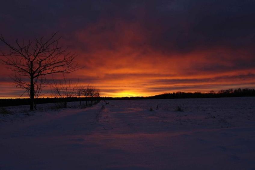 Holzhaus Andi - foto 32