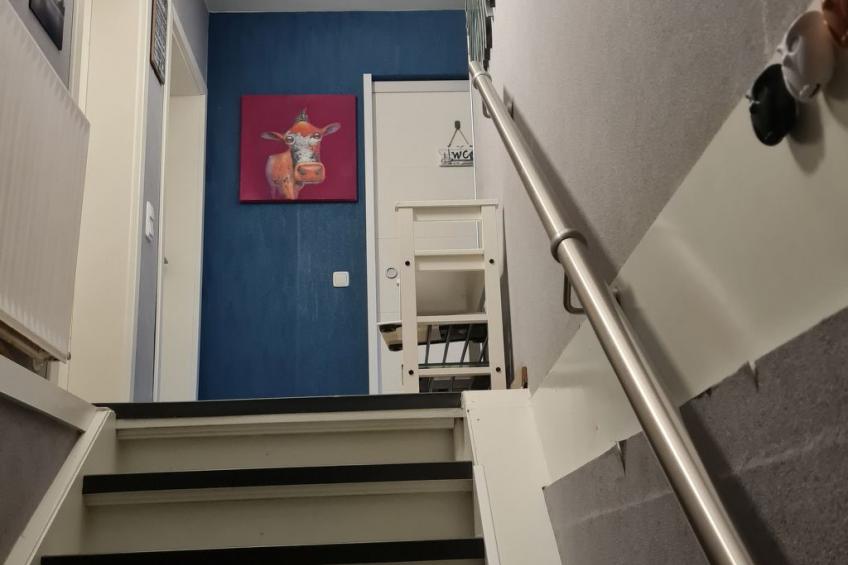 Wunderschöne Ferienwohnung mit Terrasse und Garten - foto 11