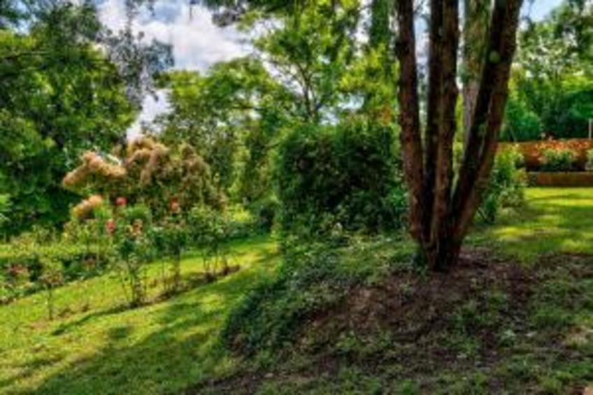 Portico della Volpe - foto 22