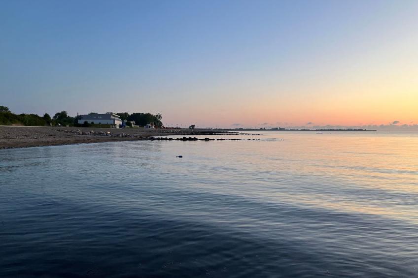 Gemütliche Ferienwohnung in Brodersby-Schönhagen - foto 31