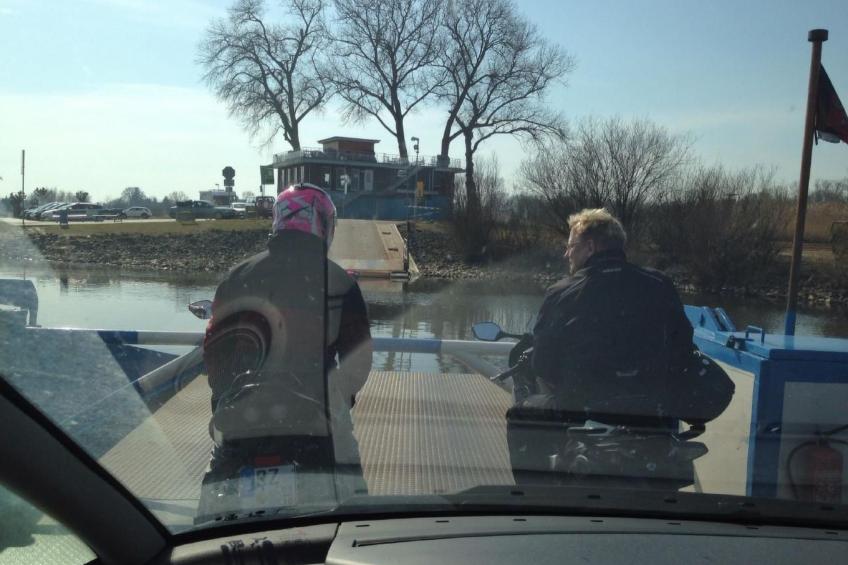 Elbe-Ilenpool -In Ruhe entspannen - foto 38