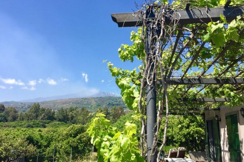 Ferienvilla 'Borgo degli Aranci - foto 39