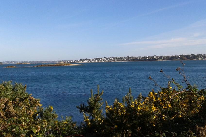 Maison du Rheun Trégondern in Saint-Pol-de-Léon - foto 4