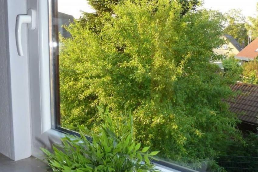 Ruhige Ferienwohnung mit Balkon und Parkplatz - foto 7