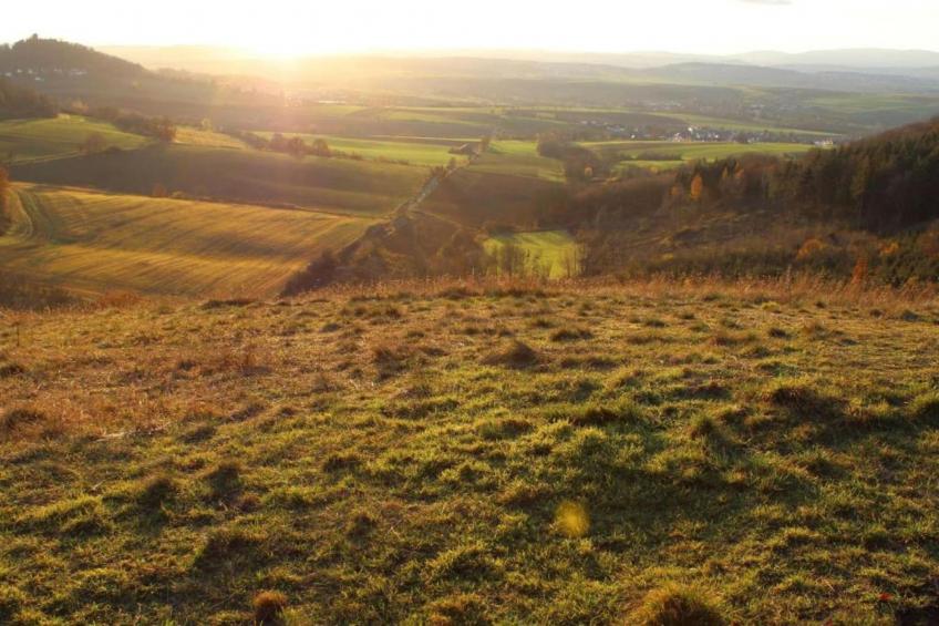 Haus Gisela - foto 30