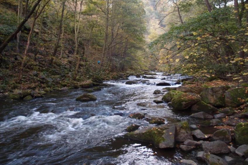 Zur Teufelsmauer - foto 32