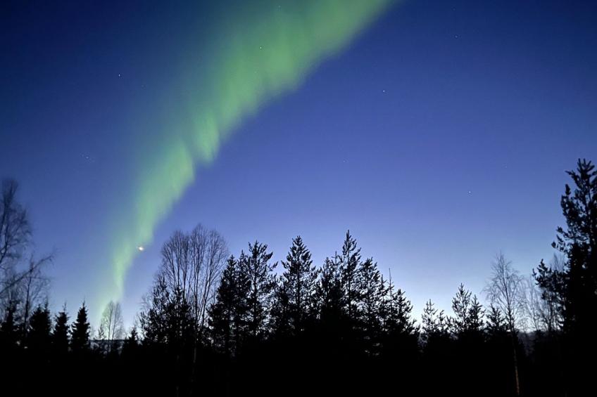 Vaaranpää - foto 29