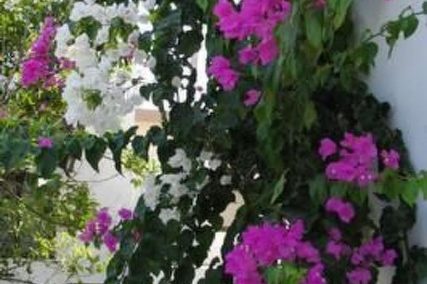 Erdgeschosswohnung im Castle View Haraki - foto 14