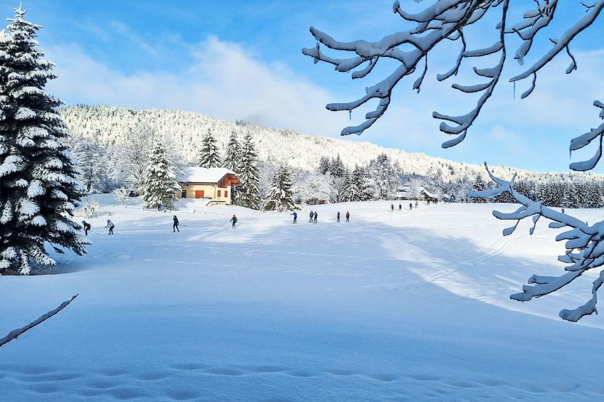 Bellentre Chalet le Pommier 5 - foto 55