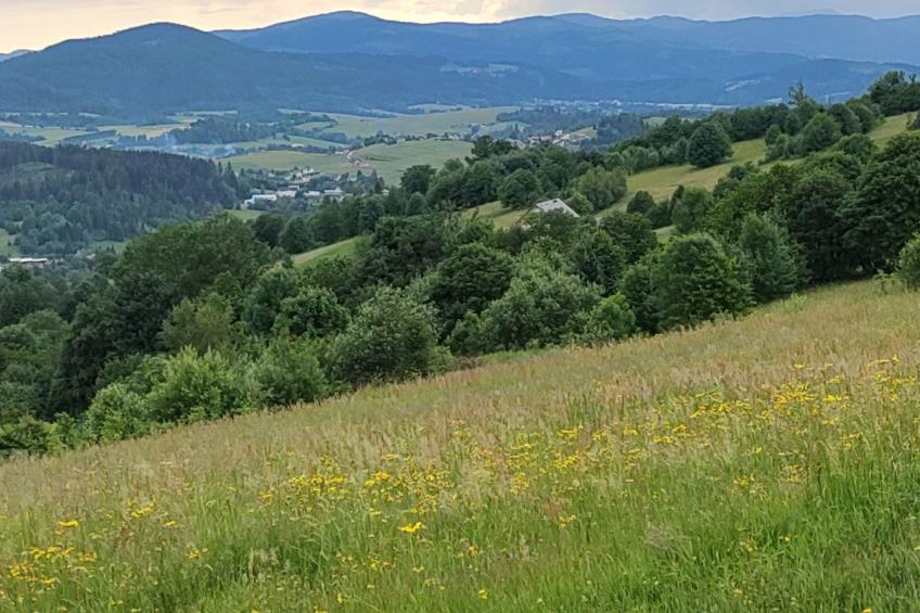 Ferienvilla Hampton für 6 Personen und 2 Kinder - foto 44