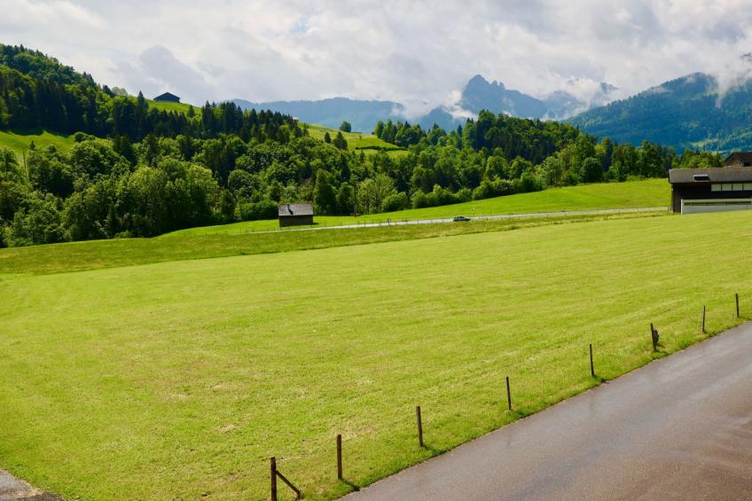 Panoramablick - foto 13