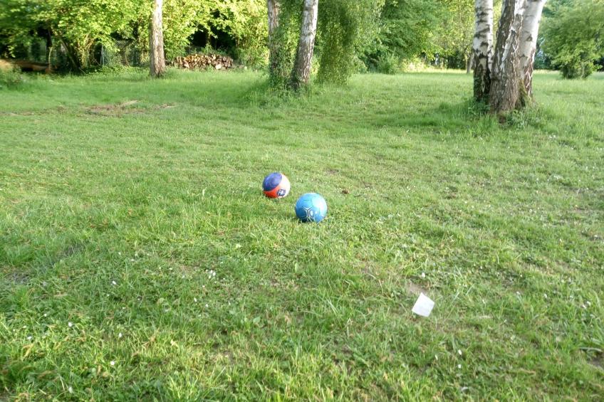 Gesellige Momente in der Nähe von Disneyland Paris - foto 9