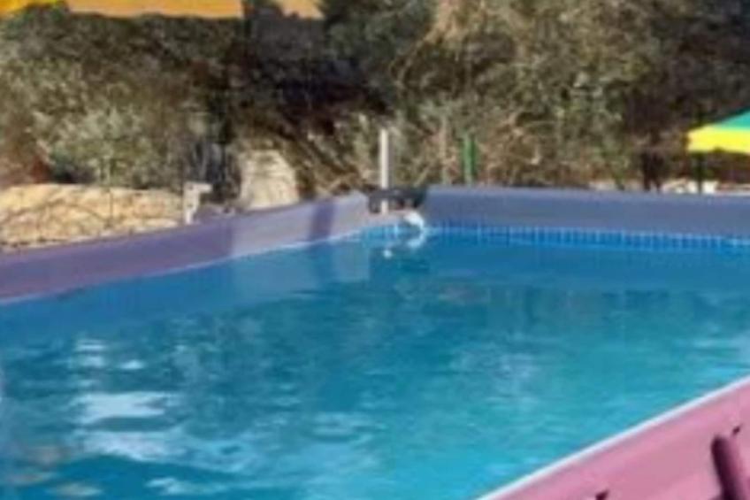 Holiday Home Village Paradise - foto 17