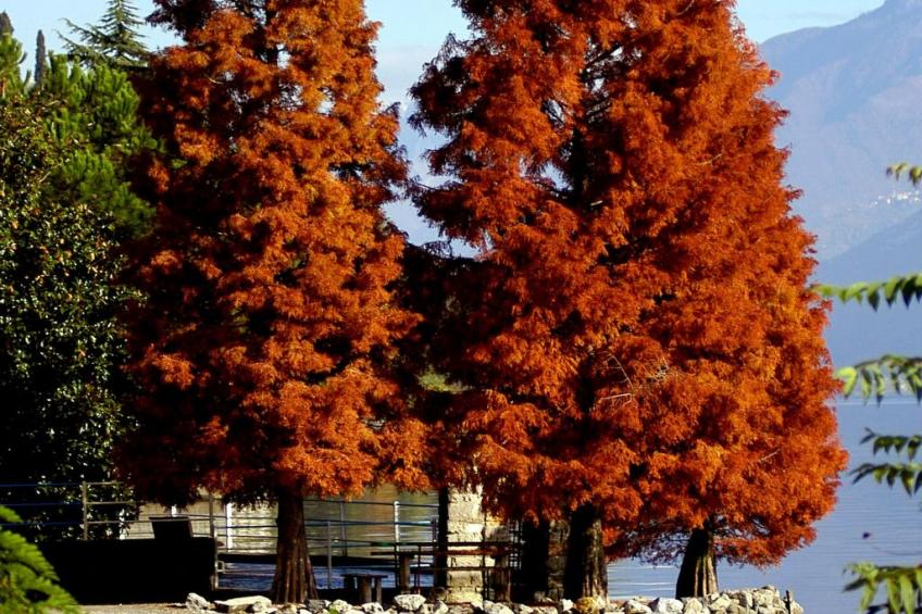 Studio-Apartment mit Zwischengeschoss in einem historischen Gebäude in Zorzino - foto 23