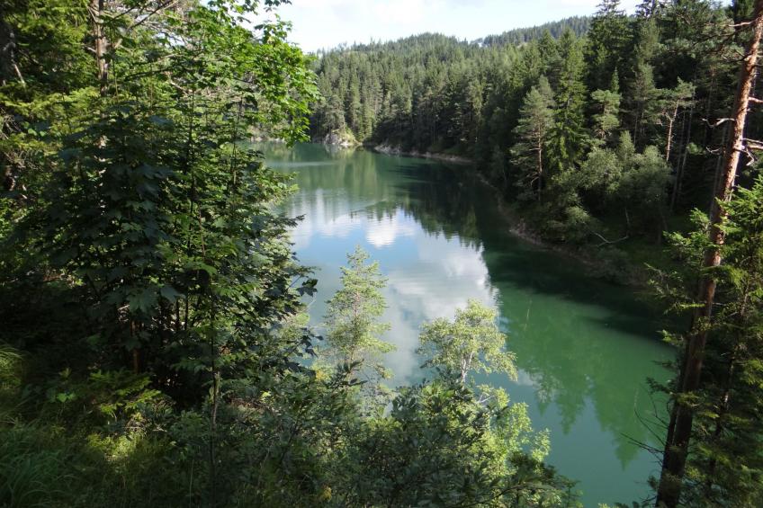 Haus König FEWO - foto 21