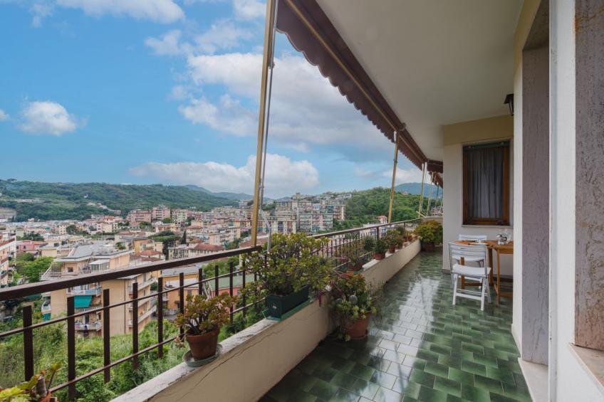 Caprifoglio - foto 3