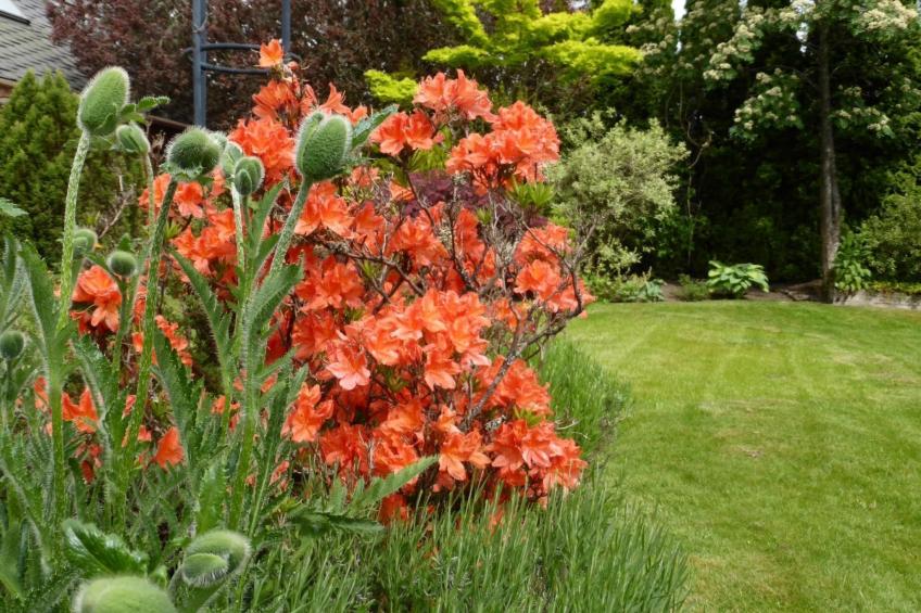 Schönes viktorianische Villa in Blairgowrie - foto 21