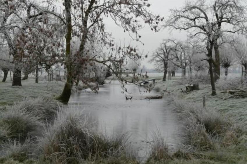 Wohnung auf dem Bauernhof - foto 46