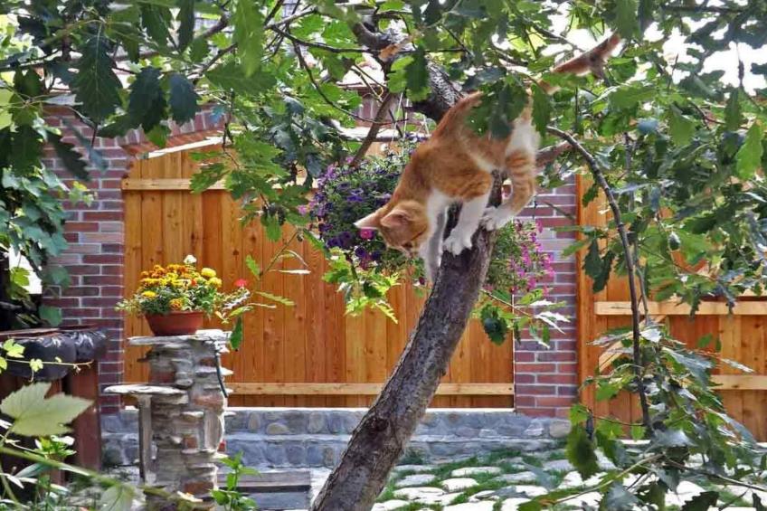 Casa Zollo - foto 35