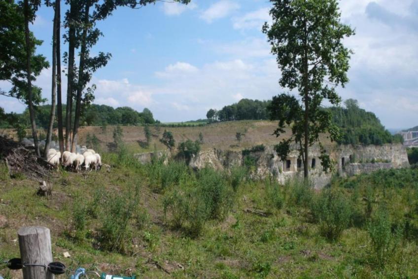 Resort Maastricht 11 - foto 34