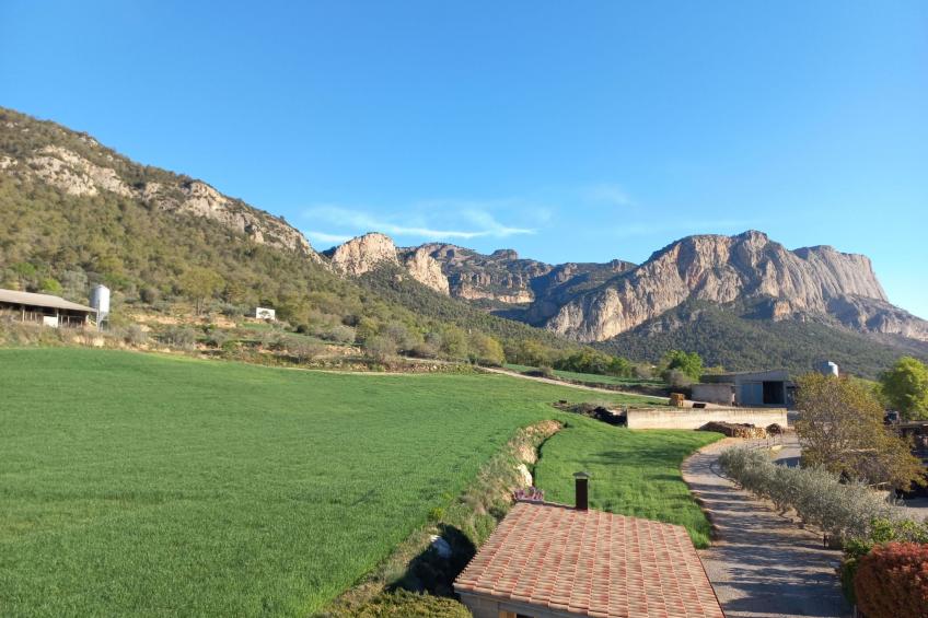 "Cal Serveró." mit Terrasse - foto 26