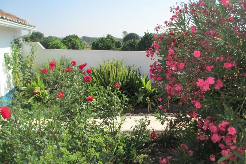 in Coimbrão mit Eigenem Pool - foto 9