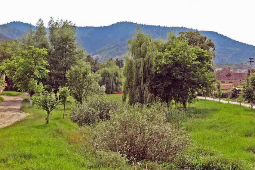 Casa Lopo - renovierter Bauernhof im Hirtendorf - foto 39