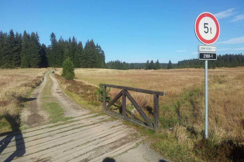 Fewo "Kranichsee WGH - foto 10