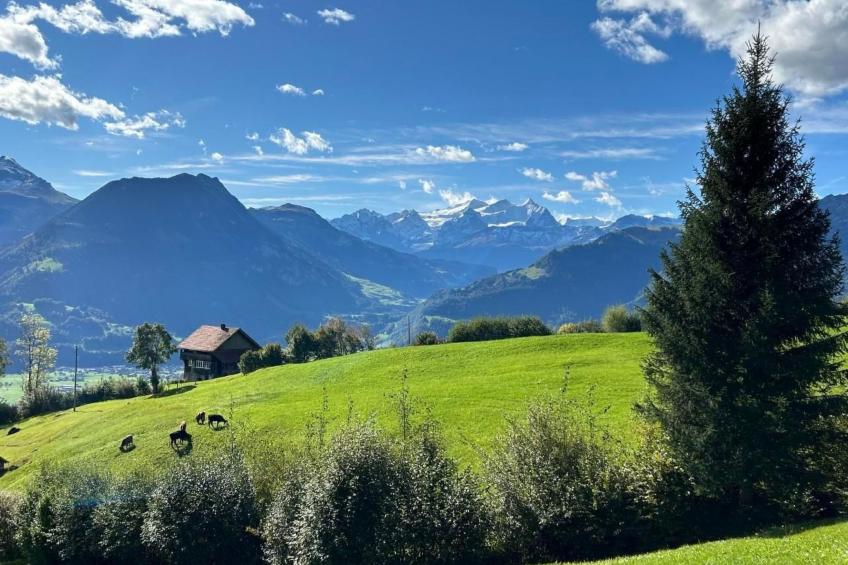 Stockenmatt Haus 2, Wohnung 22 - foto 15