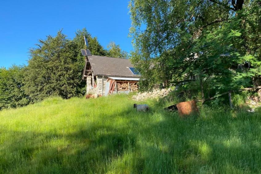 Typisches Tessiner Landleben im Centovalli - foto 2