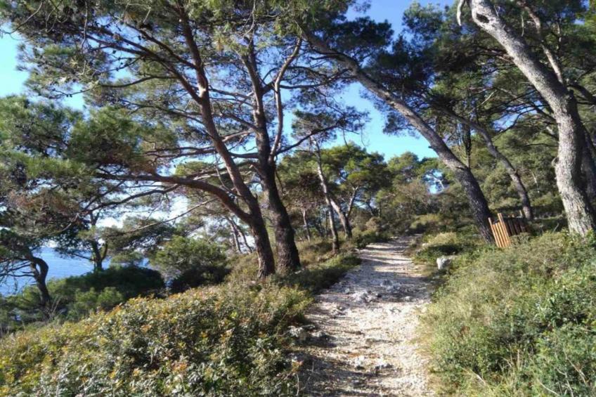 Gortan´s Cove A3 - One Bedroom Apartment Mare - foto 25